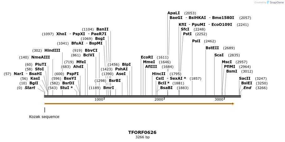 278975_map