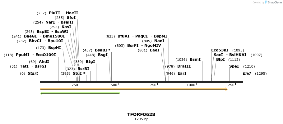278978_map