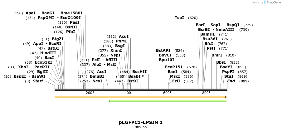 27898_map