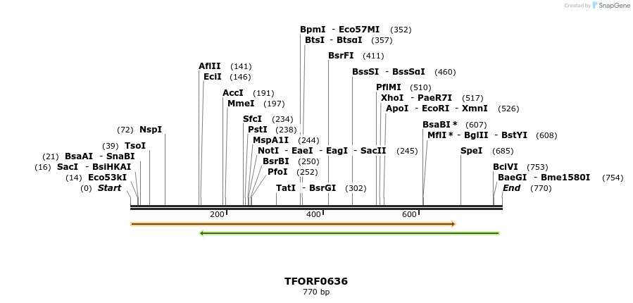 278984_map