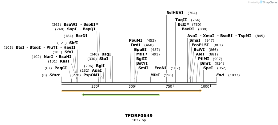 278990_map