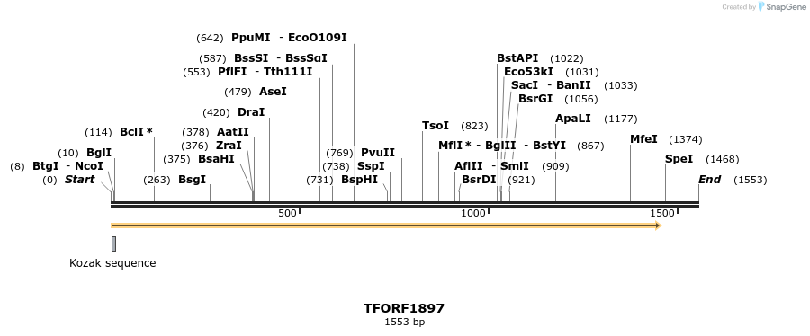 278993_map