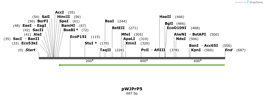 27900_map