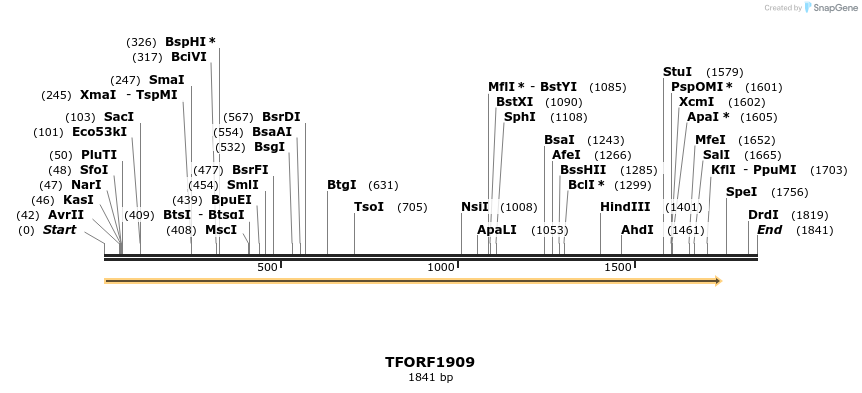 279002_map