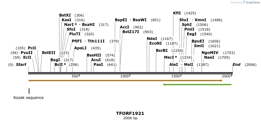 279005_map
