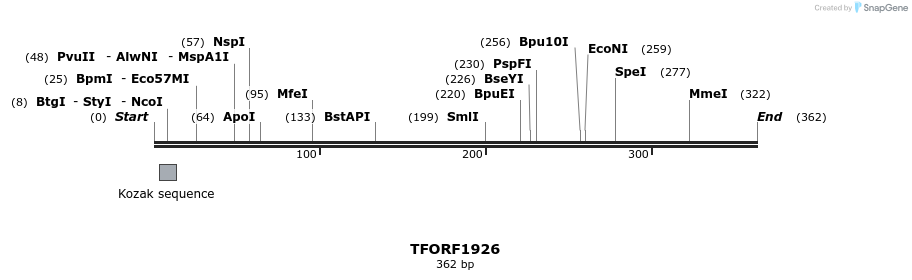 279008_map