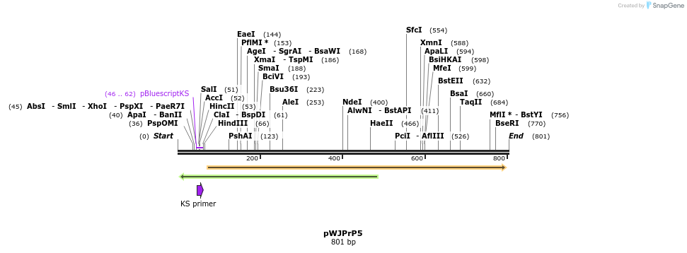 27901_map