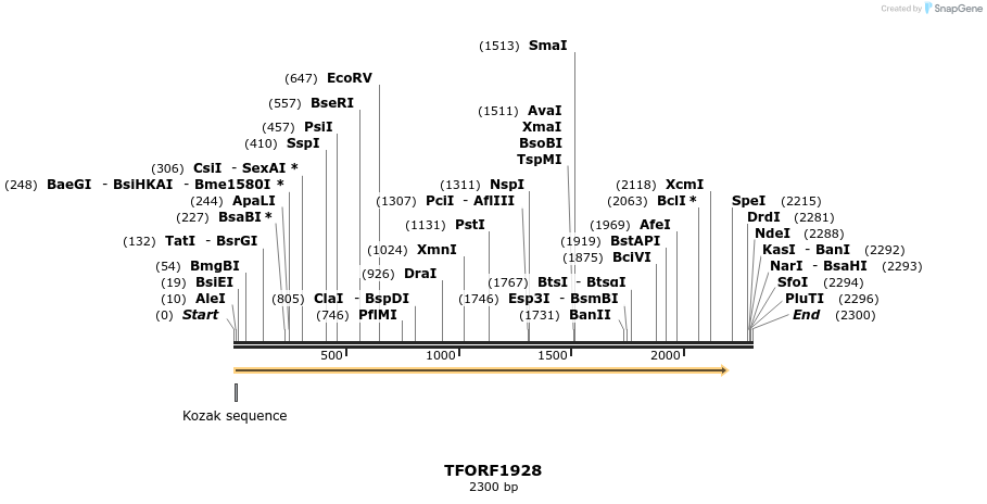 279011_map