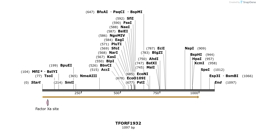 279014_map