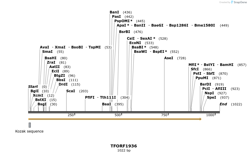 279017_map