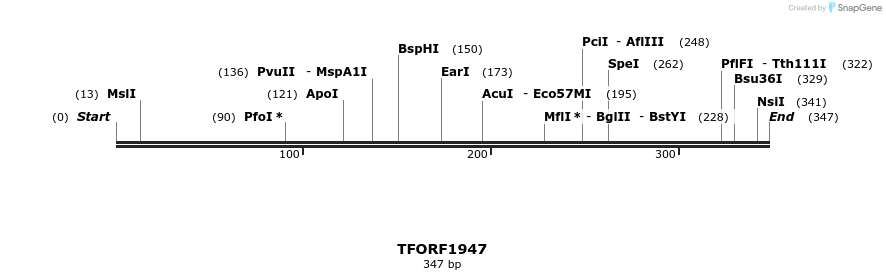 279020_map