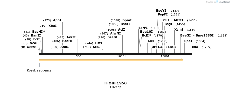 279023_map