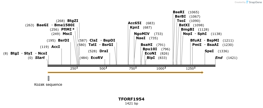 279026_map