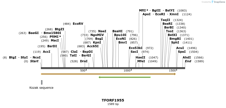 279029_map