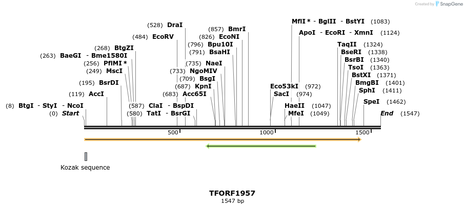 279032_map