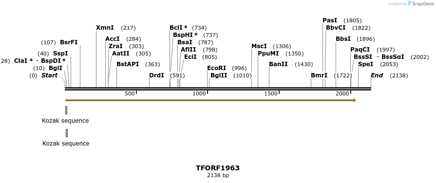 279035_map