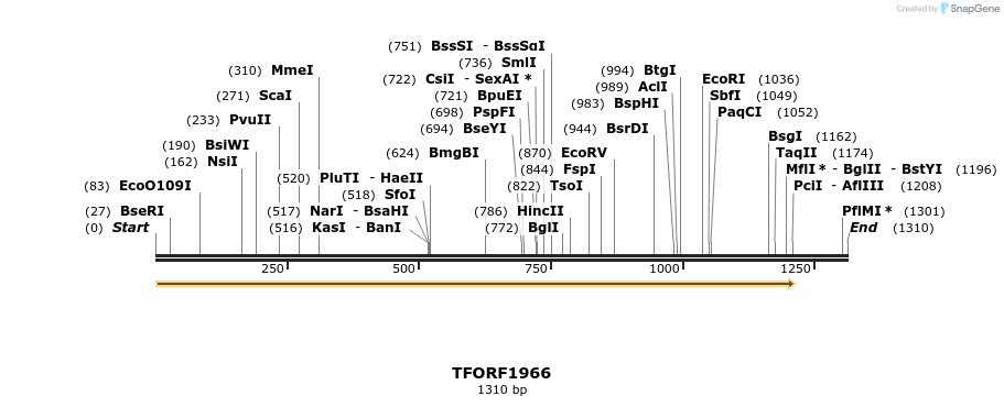 279038_map
