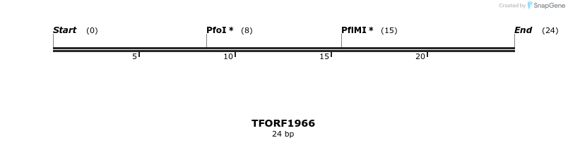 279039_map