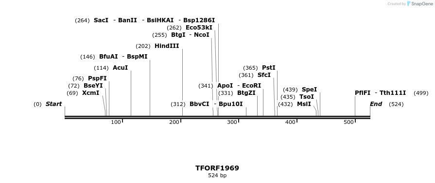 279041_map