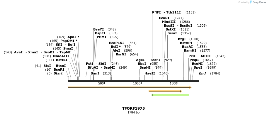 279044_map