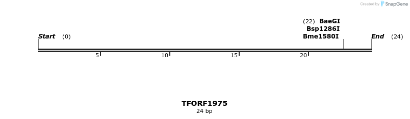 279045_map