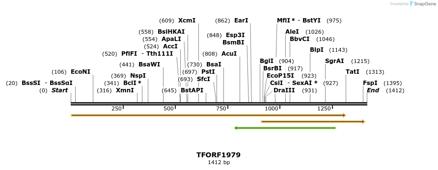 279047_map