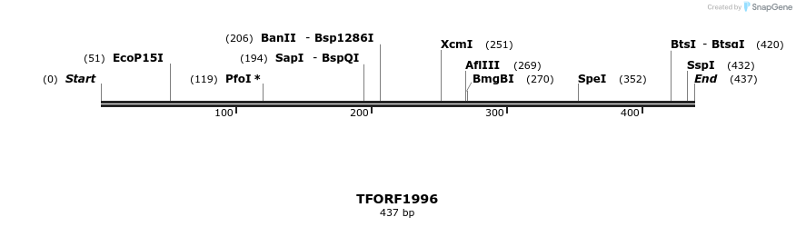 279053_map