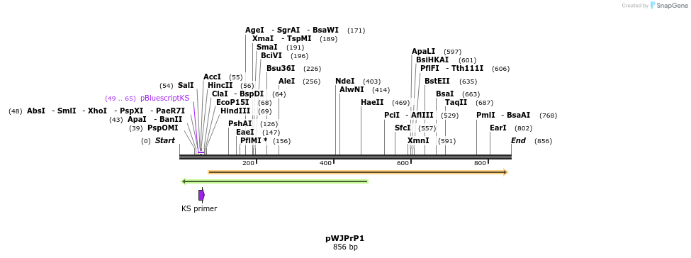 27906_map