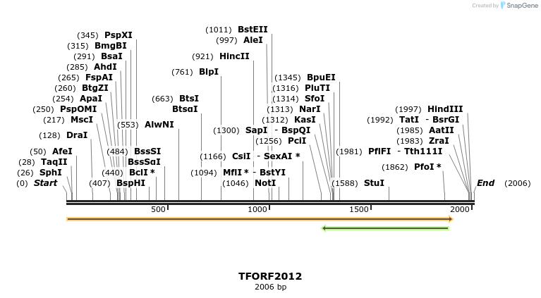 279062_map