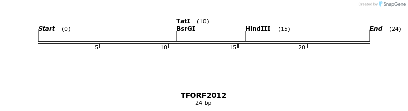 279063_map