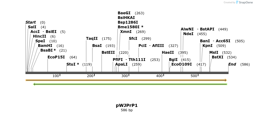 27907_map