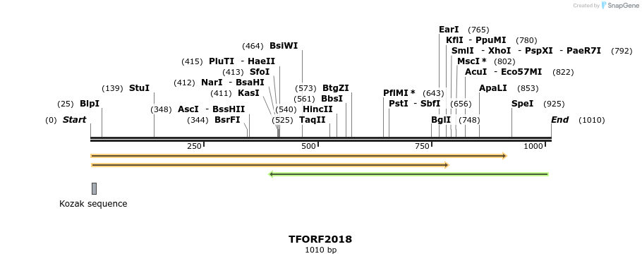 279071_map
