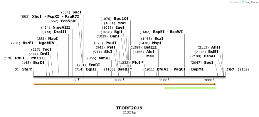 279074_map