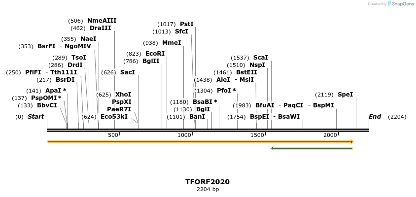 279077_map