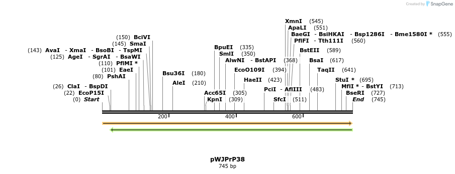 27908_map