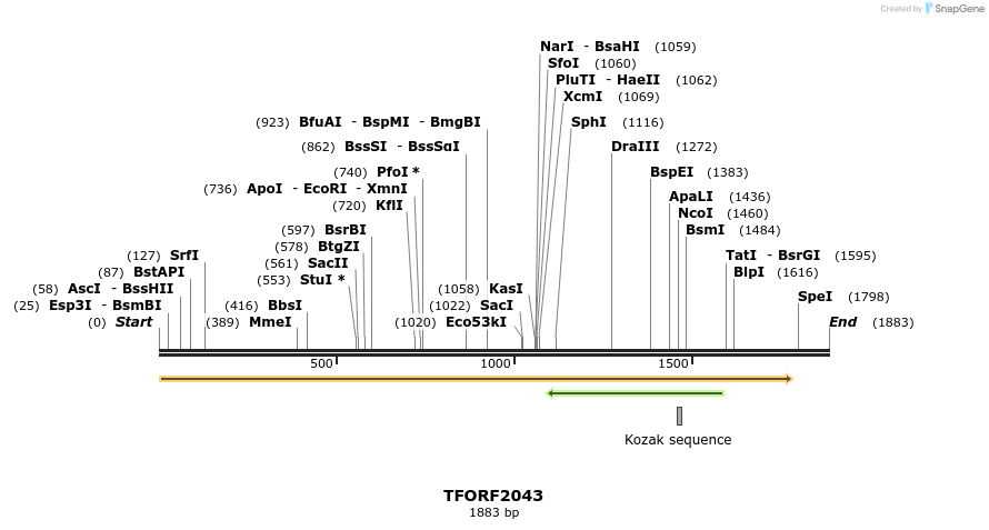 279086_map