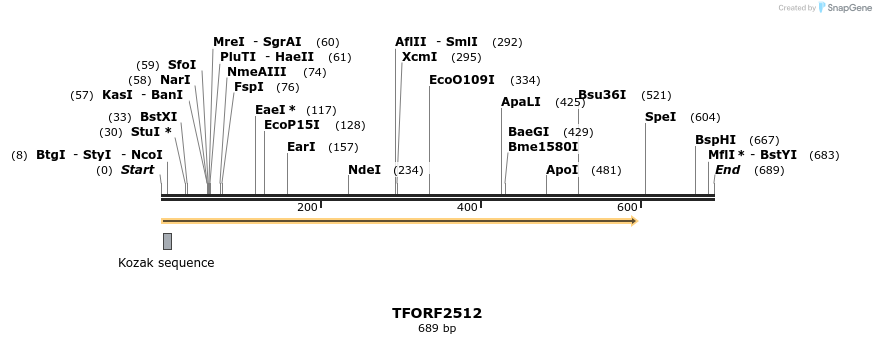 279089_map