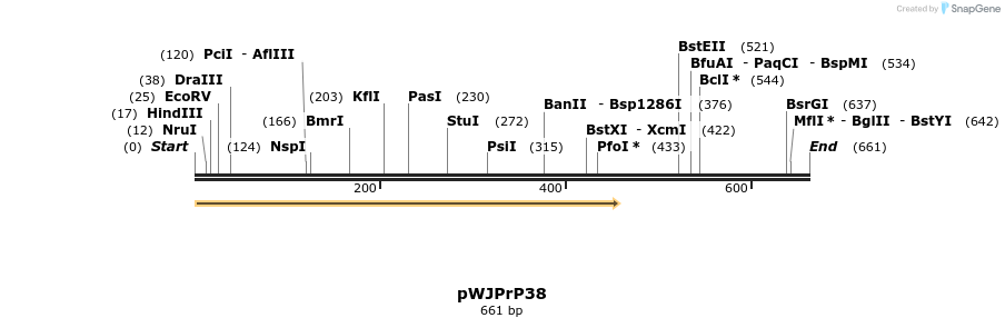 27909_map