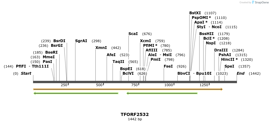 279098_map