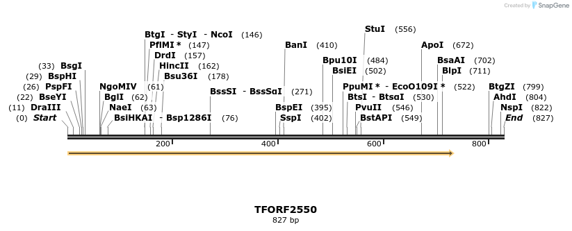 279104_map