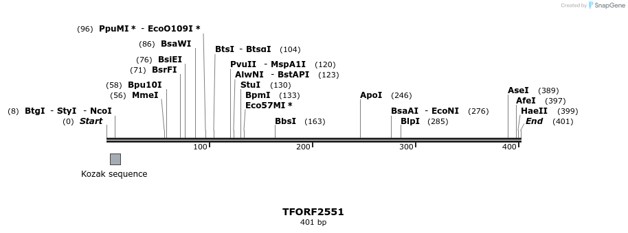279107_map