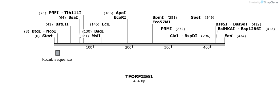 279113_map