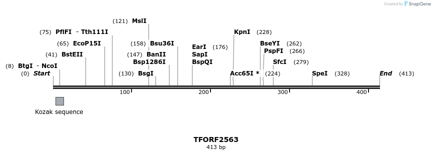 279116_map