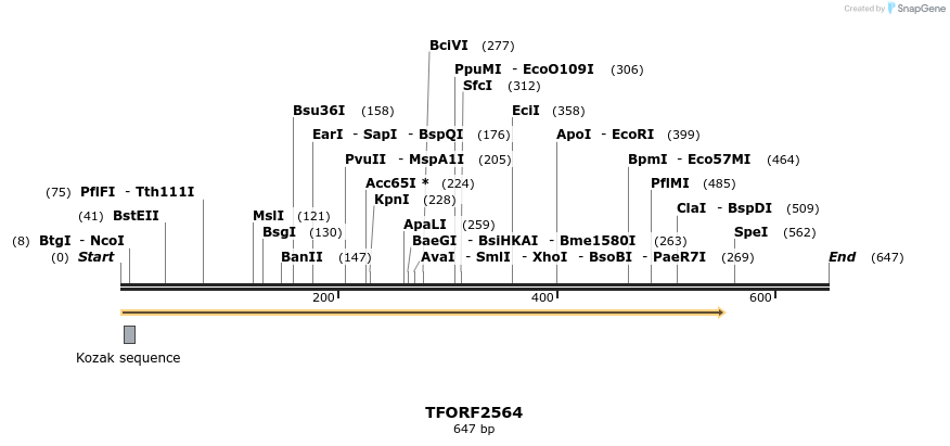 279119_map
