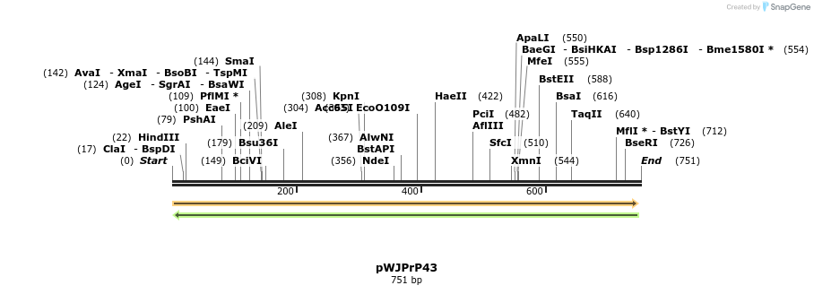 27912_map