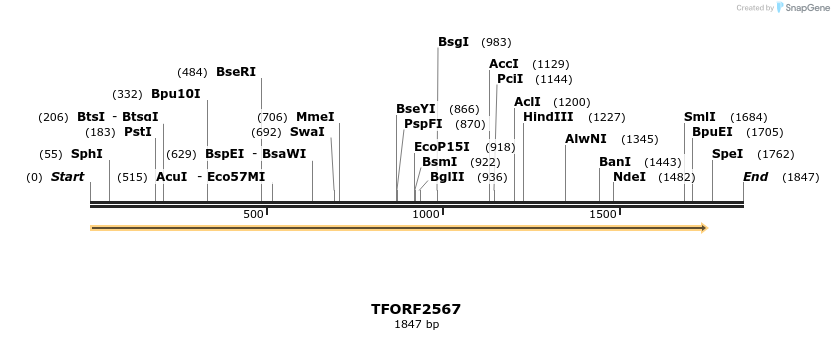 279122_map