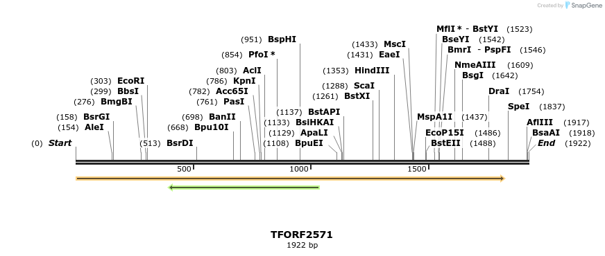 279125_map
