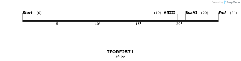 279126_map