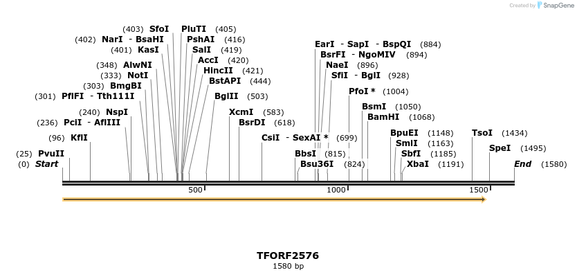 279128_map