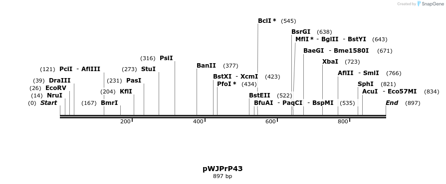 27913_map